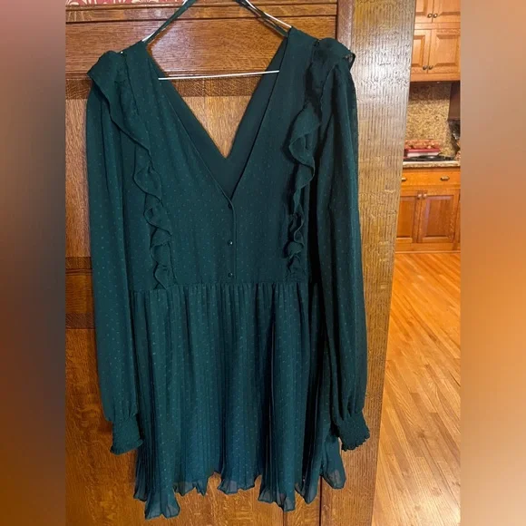 Zara TRF Collection Dress Hunter Green Women's XXL EUC Pleats Swiss Dot - Picture 2 of 6